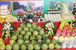 Bac Giang promotes high quality OCOP products