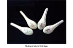 Southern traditional pottery heritage introduced in HCMC
