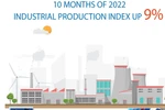 Ten-month industrial production index up 9%