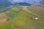 Mu Cang Chai terraces receive special national heritage certificate