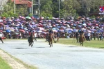 Traditional horse race festival recognised as national intangible heritage