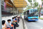Hanoi to add more bus service for National Day holiday