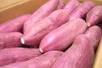 Singapore: Sweet potatoes grown in Vietnam are safe 