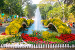 Spring Flower Festival colours Ho Chi Minh City 