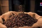 Coffee export turnover exceeds 2 billion USD in five months