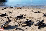 Con Dao most mysterious island on planet