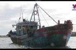 Vietnam works towards responsible, sustainable fishery sector