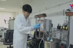Young Vietnamese professors doing well in RoK