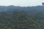 Cuc Phuong named Asia's leading national park
