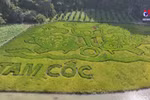 Tourism week opens in Ninh Binh