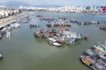 Tuna exports enjoy strong increase