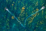 Seaweed forest in Quang Ngai