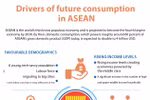 Drivers of future consumption in ASEAN