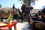 Dak Lak urges for Gong culture preservation
