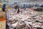 Tra fish sector aims high in 2019