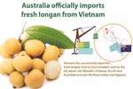 Australia officially imports fresh longan from Vietnam