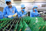 Joint efforts required to develop semiconductor manpower