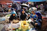 A vivid market of Ha Nhi people in mountainous Y Ty commune