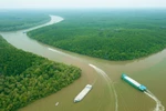 HCM City's Can Gio district to become high-quality ecotourism destination
