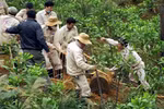 MAG staff conduct bomb and mine clearance activities in Quang Binh (Photo: VNA)