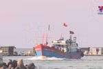 Efforts made to keep Ly Son Island safe from Covid-19