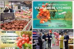 Vietnamese lychee sold well at Costco stores in Australia