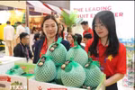 Vietnamese vegetables, fruits promoted at Asia Fruit Logistica