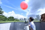 Vietnam promote application of AI in hydrometeorology