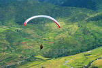 Paragliding over yellow terraced rice fields