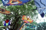 Foreign artisans to join Hue Traditional Craft Festival