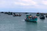 Khanh Hoa works to fight IUU fishing