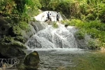 Xuan Son National Park develops community tourism