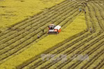 Agricultural sector gains trade surplus of 8.8 bln USD in 11 months