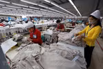 Regulations being revised to implement CPTPP