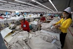 Regulations being revised to implement CPTPP