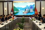 Vietnam, Laos hold sixth ministerial consultation 