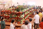 Ben Tre hosts 18th safe fruit festival