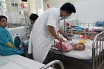 Da Nang tightens HFM disease prevention measures