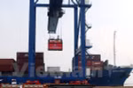 Maritime sector focuses on administrative reform