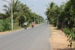 New-style rural area programme improves incomes in HCM City