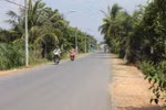 New-style rural area programme improves incomes in HCM City
