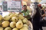 Southern fruit festival begins in HCM City 