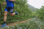 Vietnam Trail Marathon in Moc Chau to draw 1,900 runners 