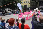 Vietnamese expats in Czech Republic joins multicultural festival 