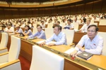 Revised tax management, public investment laws passed