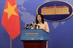  China’s vessels halt survey in Vietnam’s exclusive economic zone