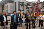Bac Giang receives 100 cherry blossom trees from Japan 