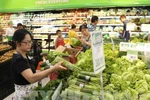 Hanoi says no to plastic bags, disposable plastic products