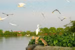 Hai Duong hopes to tap tourism potential of Thanh Mien district