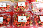 Son La strawberry, farm produce week opens in Hanoi 